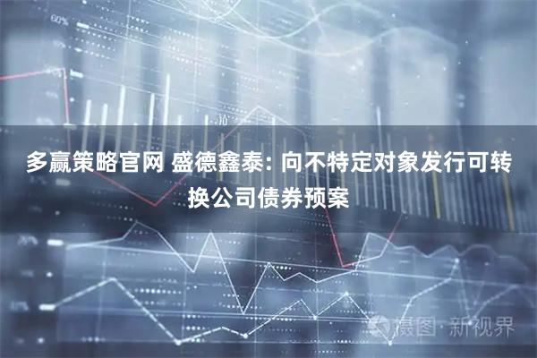 多赢策略官网 盛德鑫泰: 向不特定对象发行可转换公司债券预案