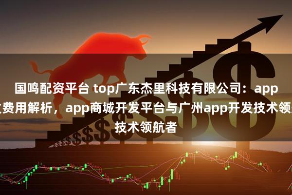 国鸣配资平台 top广东杰里科技有限公司：app开发费用解析，app商城开发平台与广州app开发技术领航者