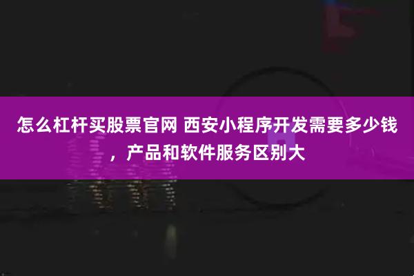怎么杠杆买股票官网 西安小程序开发需要多少钱，产品和软件服务区别大